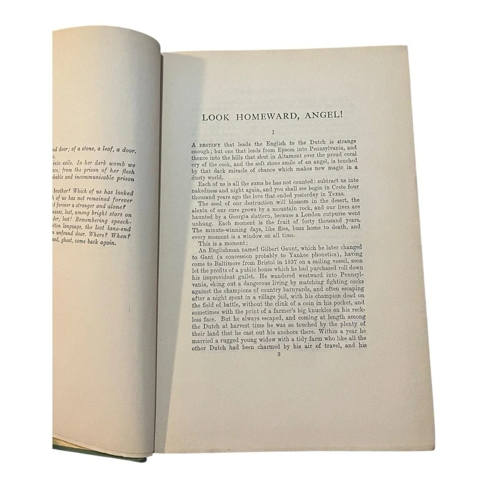 Vtg Hardback Book Thomas Wolfe LOOK HOMEWARD, ANGEL Grosset & Dunlap 1929 USA‎